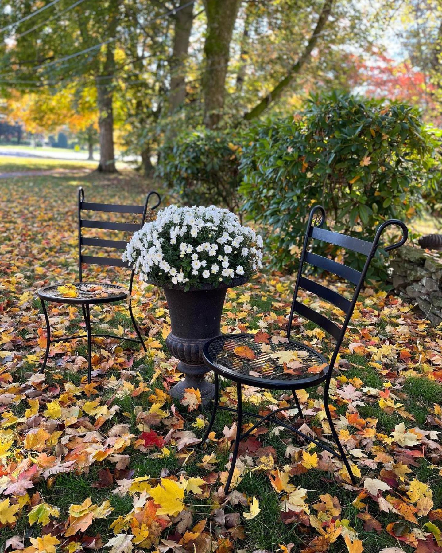 Antique1242 British Bed & Breakfast Enfield Eksteriør billede